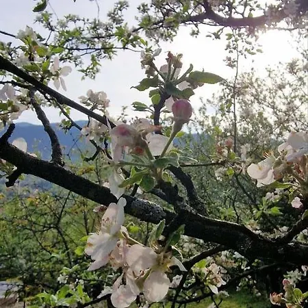 Сasa de vacaciones M